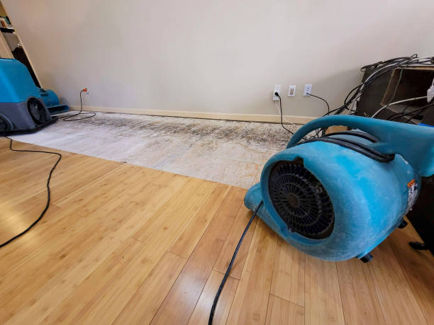 Professional Sewage Cleanup technician working in Tomkins Cove, NY